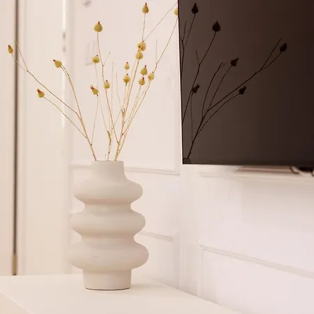 Oura - Designer With Private Parking & Ac * Braşov